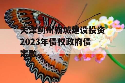 天津蓟州新城建设投资2023年债权政府债定融