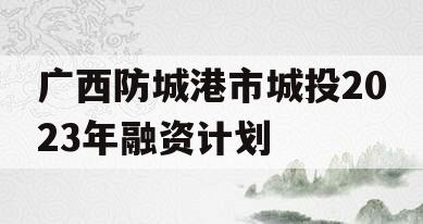 广西防城港市城投2023年融资计划