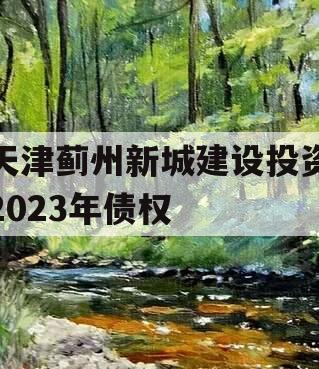天津蓟州新城建设投资2023年债权