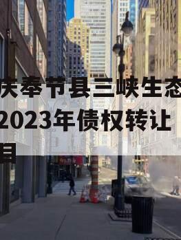 重庆奉节县三峡生态发展2023年债权转让项目
