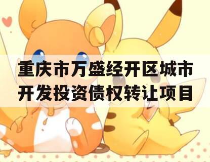 重庆市万盛经开区城市开发投资债权转让项目