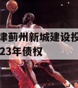 天津蓟州新城建设投资2023年债权