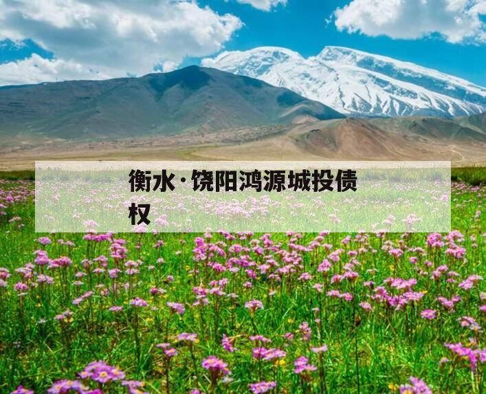 衡水·饶阳鸿源城投债权