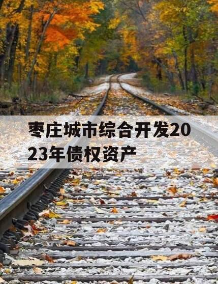 枣庄城市综合开发2023年债权资产