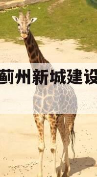 天津蓟州新城建设投资债权