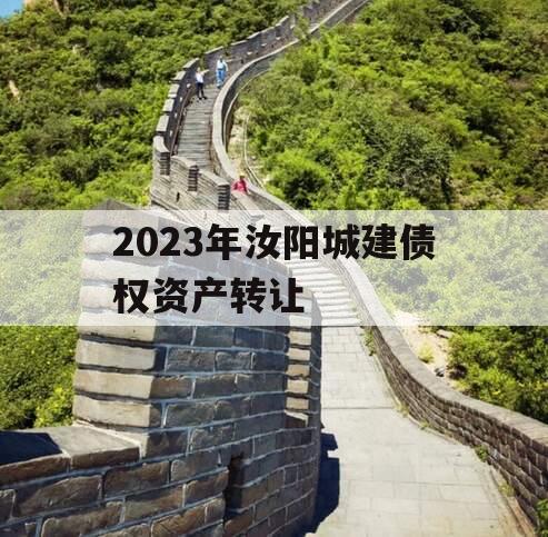2023年汝阳城建债权资产转让