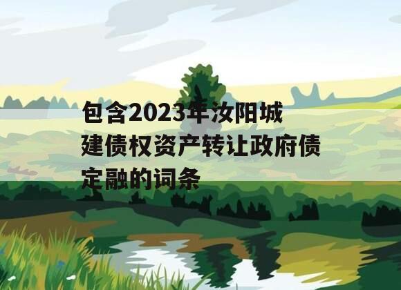 包含2023年汝阳城建债权资产转让政府债定融的词条