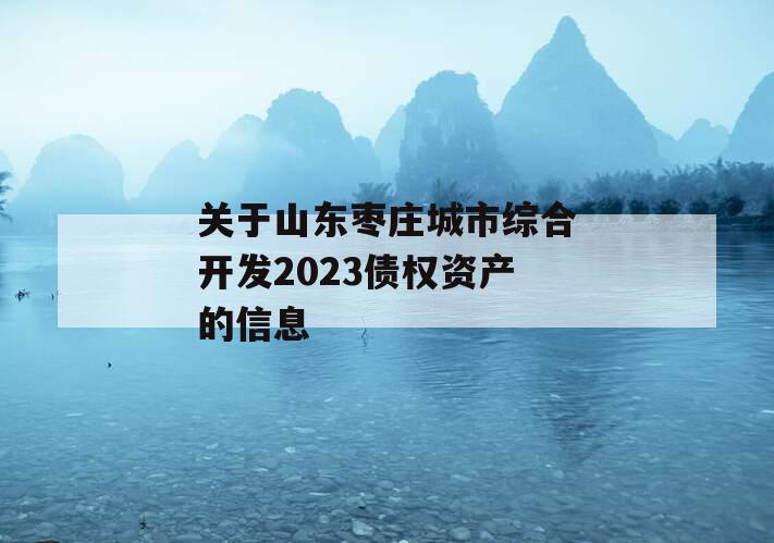 关于山东枣庄城市综合开发2023债权资产的信息
