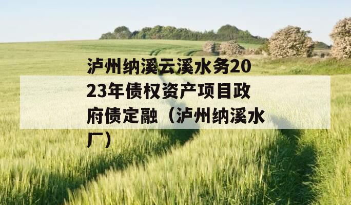 泸州纳溪云溪水务2023年债权资产项目政府债定融（泸州纳溪水厂）
