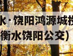 衡水·饶阳鸿源城投债权(衡水饶阳公交)