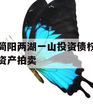 简阳两湖一山投资债权资产拍卖