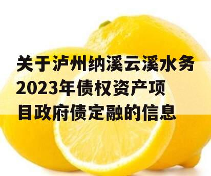 关于泸州纳溪云溪水务2023年债权资产项目政府债定融的信息