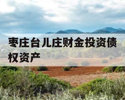 枣庄台儿庄财金投资债权资产