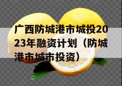 广西防城港市城投2023年融资计划（防城港市城市投资）