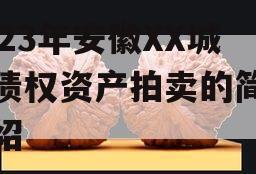 2023年安徽XX城建债权资产拍卖的简单介绍
