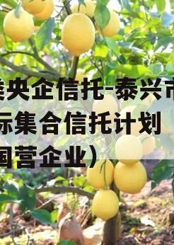 A类央企信托-泰兴市非标集合信托计划（泰兴国营企业）
