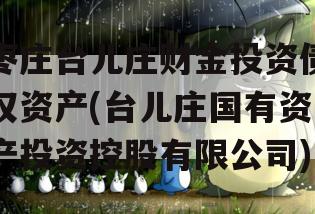 枣庄台儿庄财金投资债权资产(台儿庄国有资产投资控股有限公司)