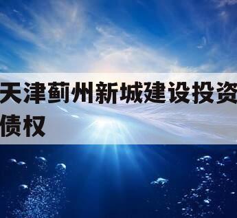 天津蓟州新城建设投资债权
