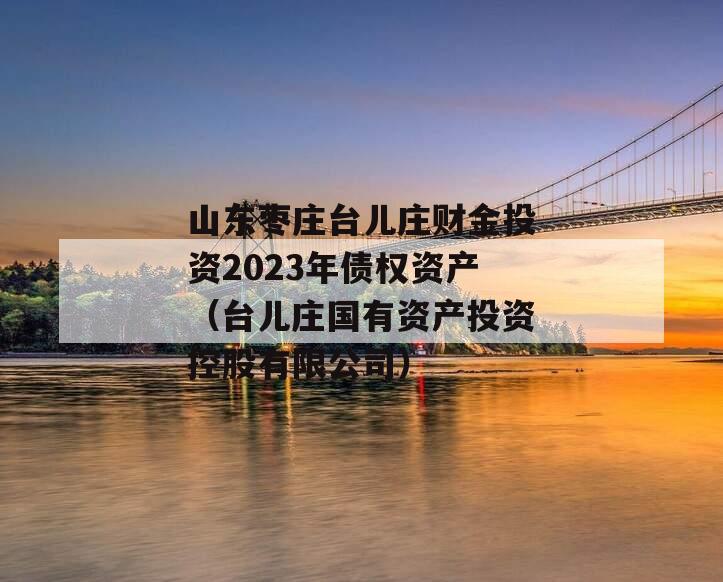 山东枣庄台儿庄财金投资2023年债权资产（台儿庄国有资产投资控股有限公司）