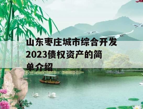 山东枣庄城市综合开发2023债权资产的简单介绍