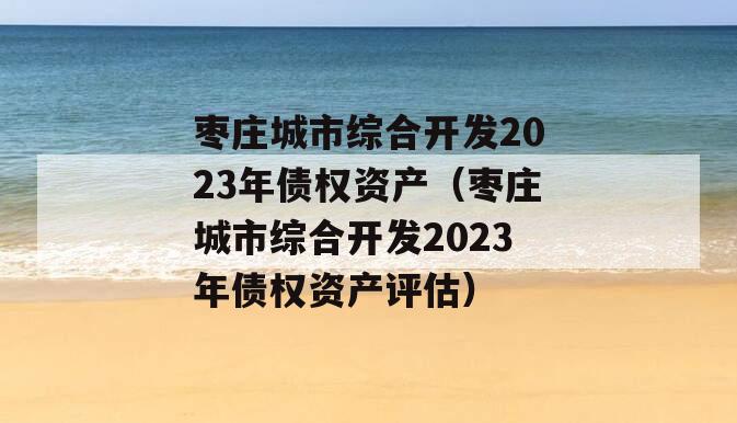 枣庄城市综合开发2023年债权资产（枣庄城市综合开发2023年债权资产评估）