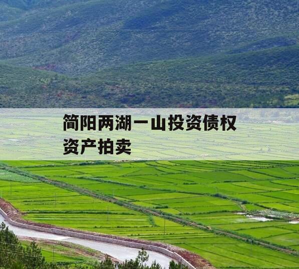 简阳两湖一山投资债权资产拍卖