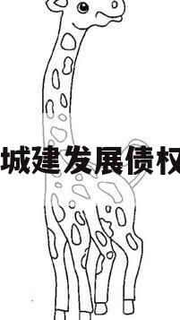 市中城建发展债权项目
