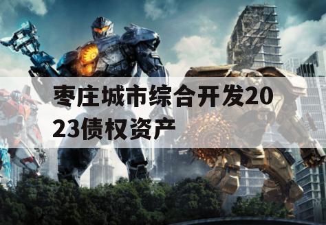 枣庄城市综合开发2023债权资产