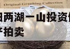 简阳两湖一山投资债权资产拍卖