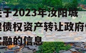 关于2023年汝阳城建债权资产转让政府债定融的信息