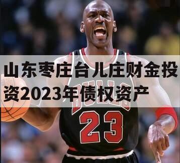 山东枣庄台儿庄财金投资2023年债权资产
