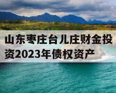 山东枣庄台儿庄财金投资2023年债权资产
