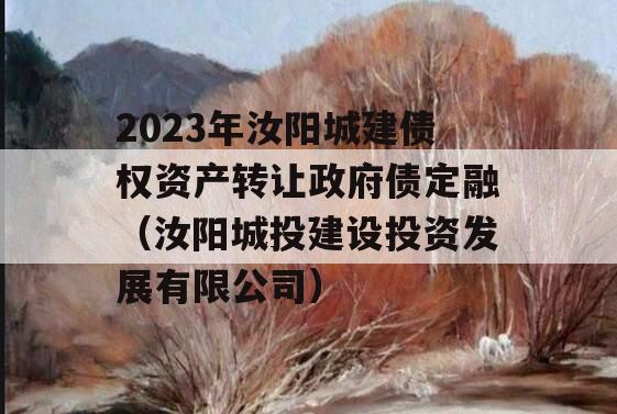 2023年汝阳城建债权资产转让政府债定融（汝阳城投建设投资发展有限公司）