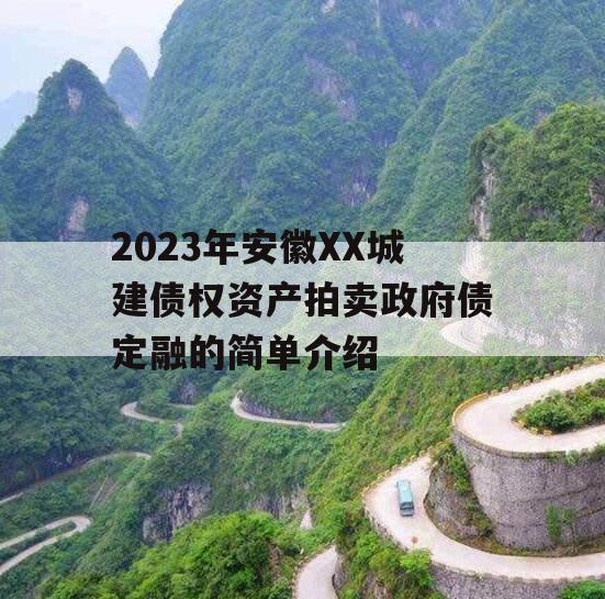 2023年安徽XX城建债权资产拍卖政府债定融的简单介绍
