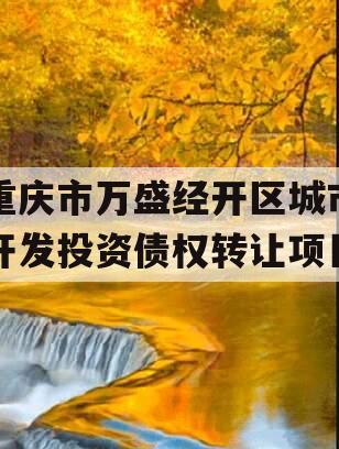 重庆市万盛经开区城市开发投资债权转让项目