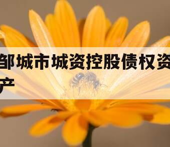 邹城市城资控股债权资产