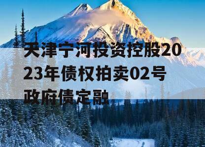 天津宁河投资控股2023年债权拍卖02号政府债定融