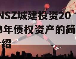 JNSZ城建投资2023年债权资产的简单介绍