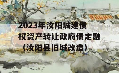 2023年汝阳城建债权资产转让政府债定融（汝阳县旧城改造）