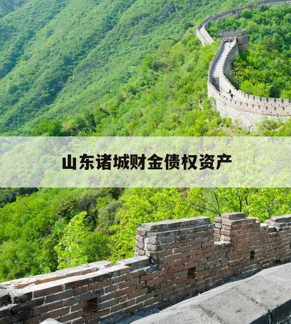 山东诸城财金债权资产