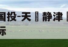 陕国投-天‮静津‬海非标