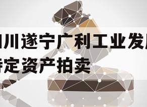 四川遂宁广利工业发展特定资产拍卖