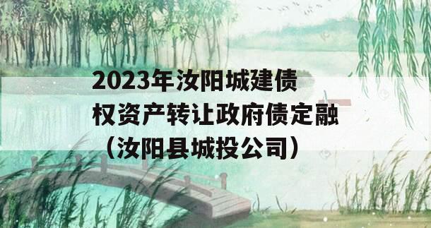 2023年汝阳城建债权资产转让政府债定融（汝阳县城投公司）