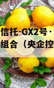 央企信托-GX2号·标债组合（央企控股信托）