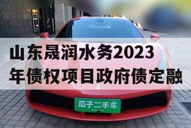 山东晟润水务2023年债权项目政府债定融