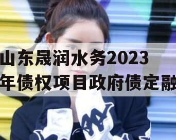 山东晟润水务2023年债权项目政府债定融