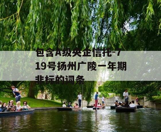 包含A级央企信托-719号扬州广陵一年期非标的词条