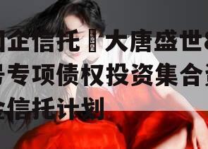 国企信托•大唐盛世8号专项债权投资集合资金信托计划