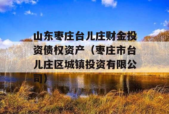 山东枣庄台儿庄财金投资债权资产（枣庄市台儿庄区城镇投资有限公司）
