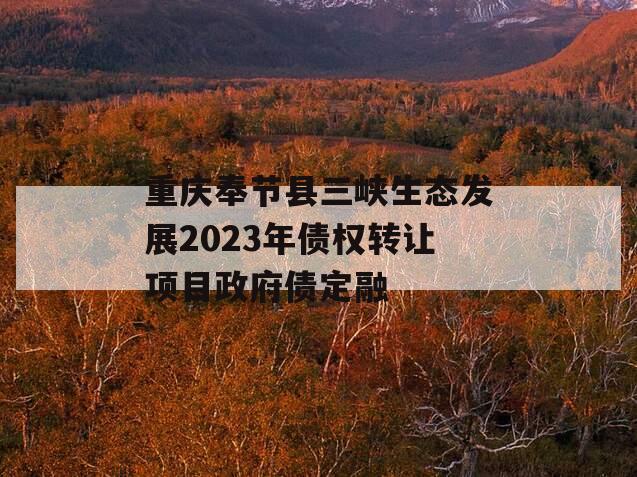 重庆奉节县三峡生态发展2023年债权转让项目政府债定融
